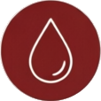 Hematologia