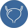 Urologia